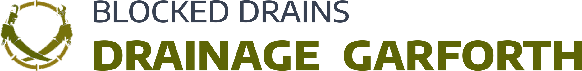 website logo